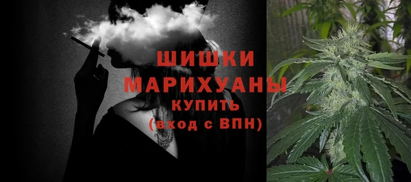 индика Алзамай