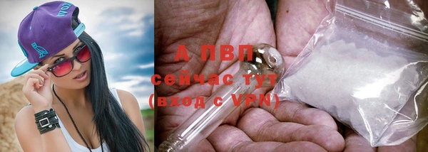соль ск Россошь