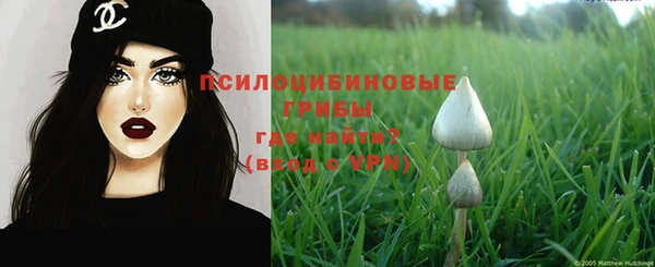 СК Алексеевка