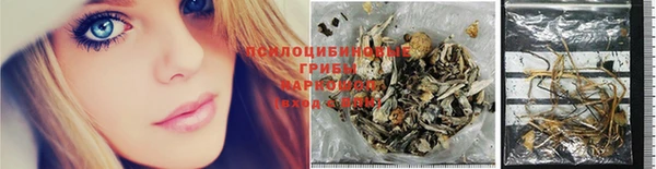 СК Алексеевка
