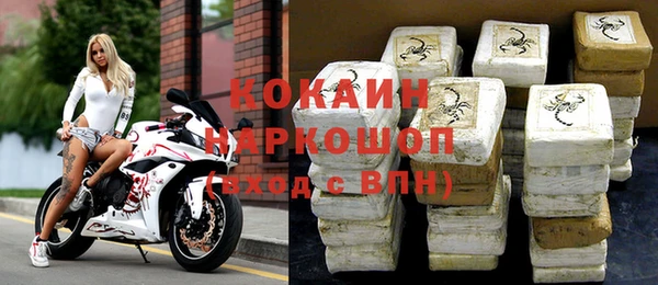 гидра Алексин