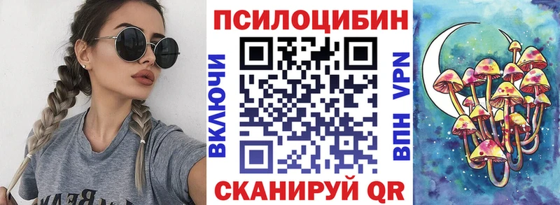 цена наркотик  Карачаевск  Псилоцибиновые грибы ЛСД 